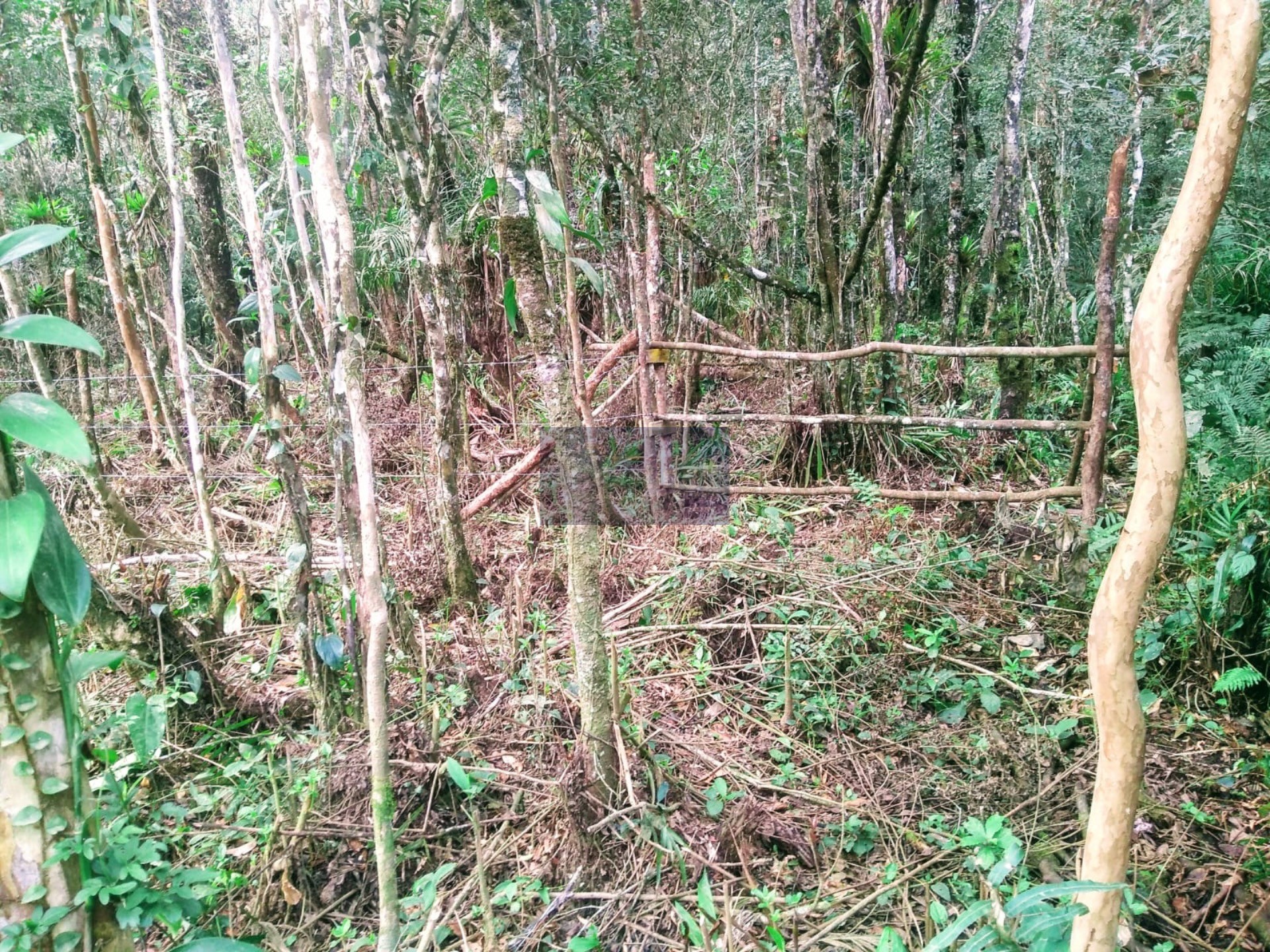 TERRENO no Estrada do Rio Preto em ITANHAÉM