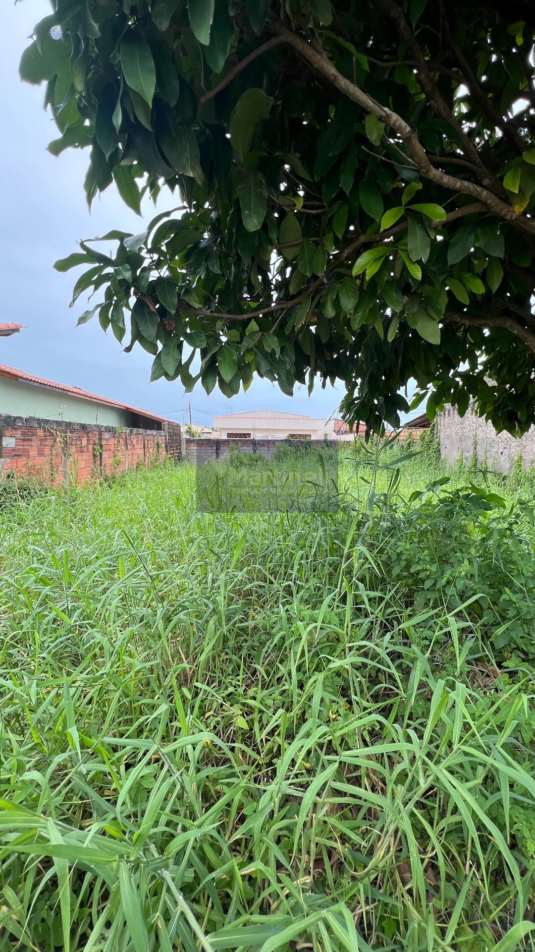 TERRENO no Guacyra em ITANHAÉM